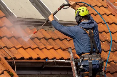Démoussage et hydrofuge de toiture à Lignol